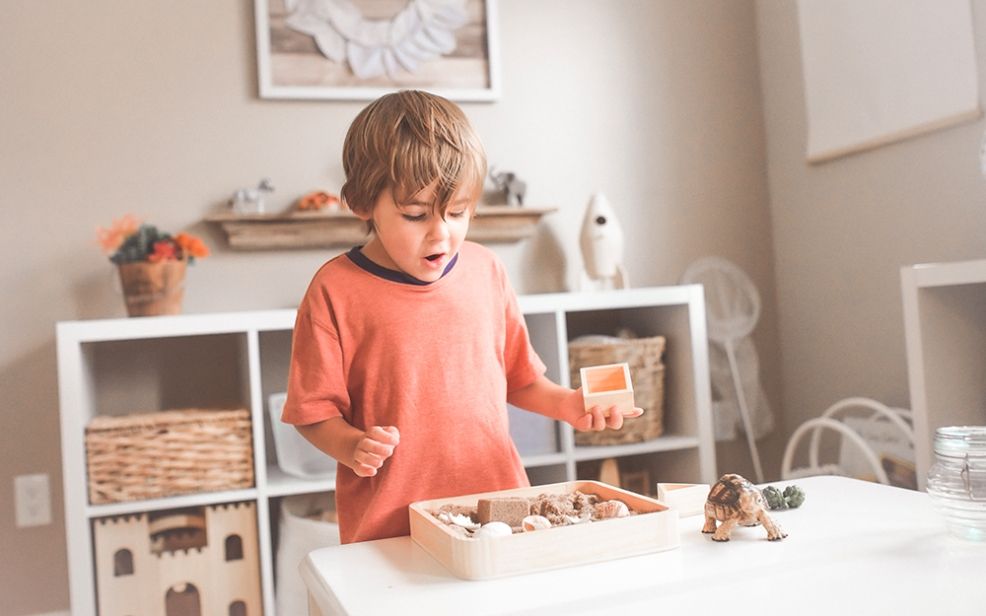 Le Coschooling, qu'est-ce que c'est ?