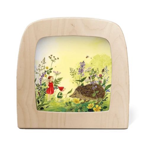 Carte illustrée pour Lampe Magique - Daniela Drescher - Hérisson