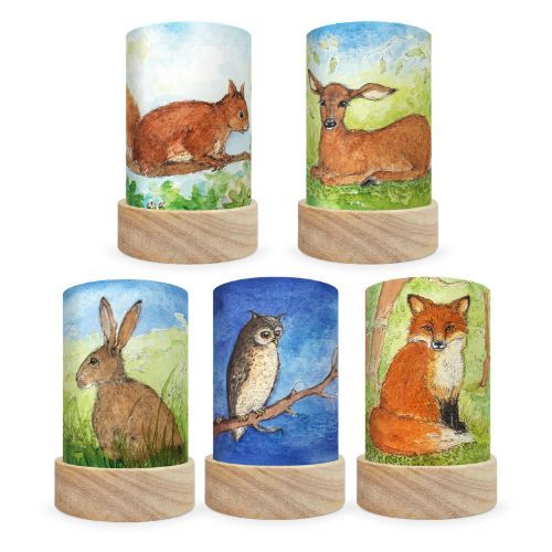 Set de 5 Abat-jours illustrés pour Lanterne - Eentje van Margo Forêt
